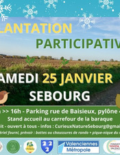 plantation-participative-sebourg.jpg