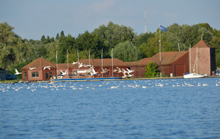 Base Nautique du Vignoble - Valenciennes