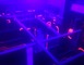 Laser Game Evolution 7 - Valenciennes